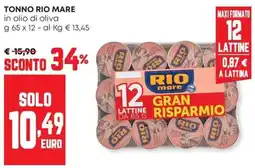 Panorama Tonno Rio Mare in olio di oliva offerta