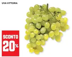 Panorama Uva Vittoria offerta