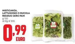 Panorama Misticanza, lattughino o rucola offerta