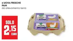 Panorama Uova fresche Pam da allevamento terra offerta