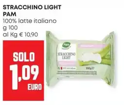 Panorama Stracchino light Pam offerta
