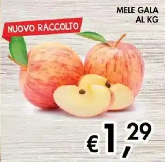 Coal Mele Gala offerta