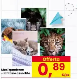 Interspar Maxi quaderno - fantasie assortite offerta