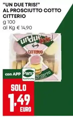 Pam Un due tris al prosciutto cotto Citterio offerta