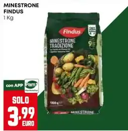 Pam Minestrone Findus offerta