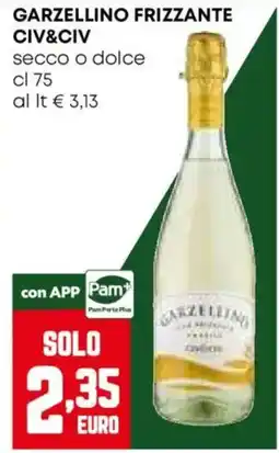 Pam Garzellino frizzante offerta