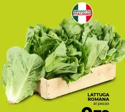 Coop Radenza Lattuga Romana offerta