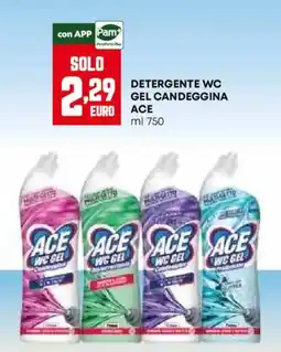 Pam Detergente wc gel candeggina ace offerta