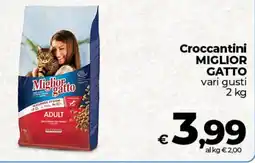 Coop Radenza Croccantini Miglior Gatto offerta