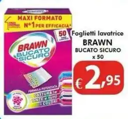 Bernava Foglietti lavatrice Brawn Bucato Sicuro offerta