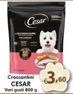 Bernava Croccantini Cesar offerta