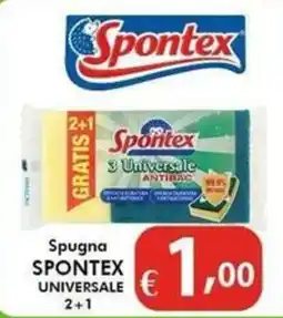 Bernava Spugna Spontex Universale offerta