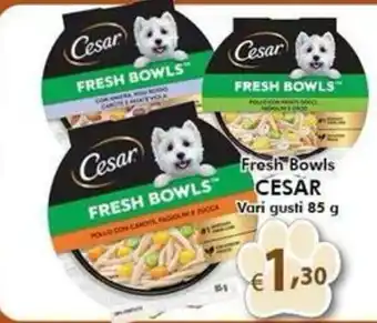 Cesar Fresh Bowls