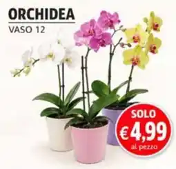 èccoMI Orchidea offerta
