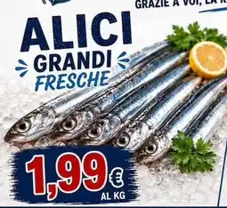 BluVivo Alici grandi fresche offerta
