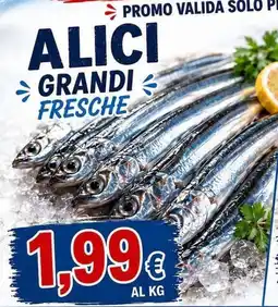 BluVivo Alici grandi fresche offerta