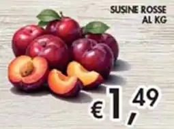 Maxi Coal Susine rosse offerta
