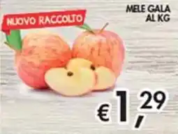 Maxi Coal Mele Gala offerta