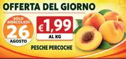 Maxi Coal Pesche Percoche offerta