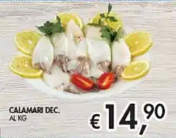 Maxi Coal Calamari dec. offerta