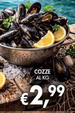 Maxi Coal Cozze offerta