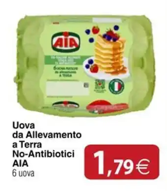 Docks Cash&Carry Uova da Allevamento a Terra No-Antibiotici AIA offerta