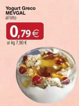 Docks Cash&Carry Yogurt Greco MEVGAL offerta