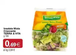 Docks Cash&Carry Insalata Mista Croccante Terra & Vita offerta