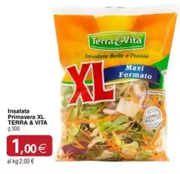 Docks Cash&Carry Insalata Primavera XL Terra & Vita offerta