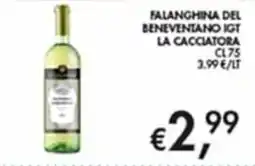 Maxi Coal Falanghina del Beneventano IGT La Cacciatora offerta