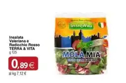 Docks Cash&Carry Insalata Valeriana e Radicchio Rosso Terra & Vita offerta