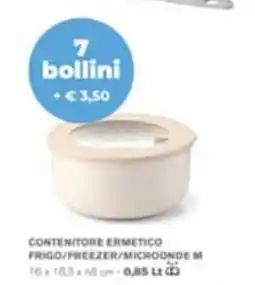 Maxi Coal Contenitore ermetico offerta