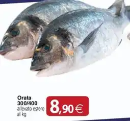 Docks Cash&Carry Orata offerta
