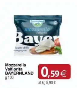 Docks Cash&Carry Mozzarella Valfiorita BAYERNLAND offerta