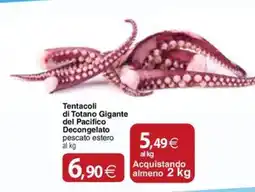 Docks Cash&Carry Tentacoli di Totano Gigante del Pacifico offerta