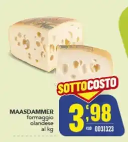 Gruppo di Palo Maasdammer formaggio olandese offerta