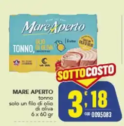 Gruppo di Palo Mare Aperto tonno offerta