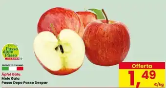 Äpfel Gala Mele Gala Passo Dopo Passo Despar
