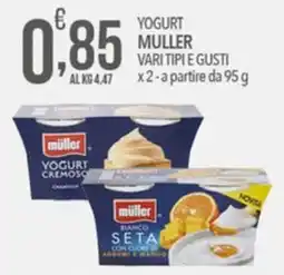 Iper Romagnolo Yogurt Müller offerta