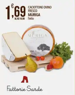 Iper Romagnolo Caciottone ovino fresco Muriga offerta