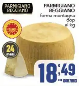 Gruppo di Palo Parmigiano Reggiano forma montagna offerta