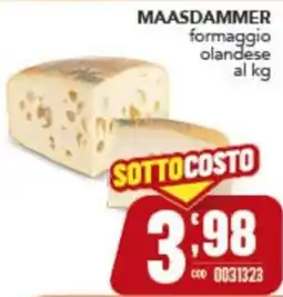 Gruppo di Palo Maasdammer formaggio olandese offerta
