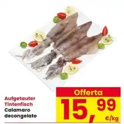 Interspar Aufgetauter Tintenfisch Calamaro decongelato offerta