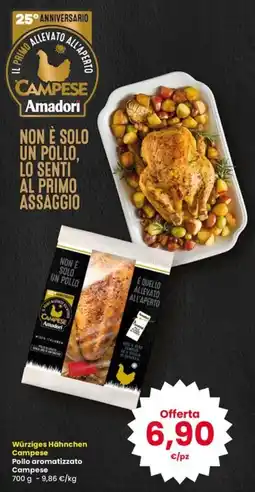 Interspar Pollo aromatizzato Campese offerta