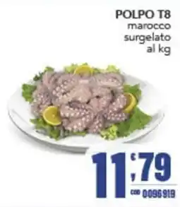 Gruppo di Palo Polpo T8 marocco offerta