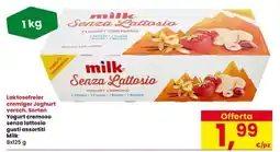 Interspar milk Senza Lattosio Yogurt Cremoso offerta