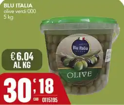 Gruppo di Palo Blu Italia olive verdi 000 offerta