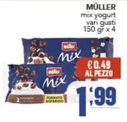 Gruppo di Palo Müller mix yogurt offerta