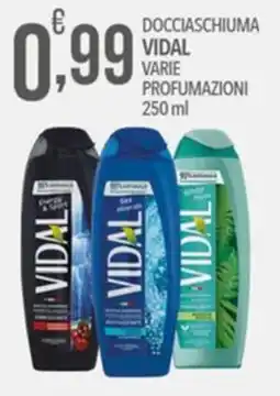 Iper Romagnolo Docciaschiuma Vidal offerta