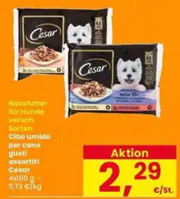 Interspar Cibo umido Cesare offerta